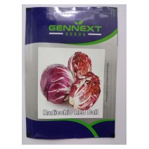 Radicchio Red ball - Gennext 1gm (400-500seeds)