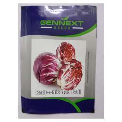 Radicchio Red ball - Gennext 1gm (400-500seeds)