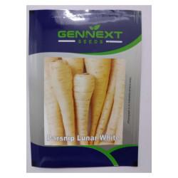 Parsnip Lunar White - Gennext 1gm (400-500seeds)