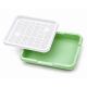 Microgreens Growing Tray | Soil-Free Seed Germination Kit for Sprouts  ( Set of 3 )