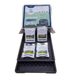 Microgreen Growing Kit