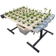 48 Plant NFT Indoor Hydroponic system