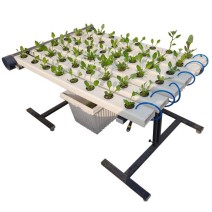 48 Plant NFT Indoor Hydroponic system