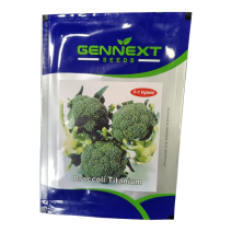 Broccoli Titanium - Gennext seeds 10gm 