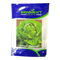 Lettuce Romaine Seeds - Gennext 1gm