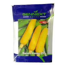 Sweet Honey-25 Seeds - Gennext 10gm 