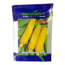 Sweet Honey-25 Seeds - Gennext 10gm