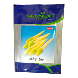 Baby Corn Seeds  - Gennext 10gm