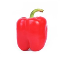 Bell Peppers Red Seedling (10 Sapling )