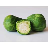 Brussels Sprouts Seedling (10 Sapling )