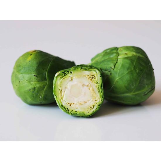 Brussels Sprouts Seedling (10 Sapling )