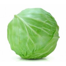 Cabbage  Seedling (10 Sapling )