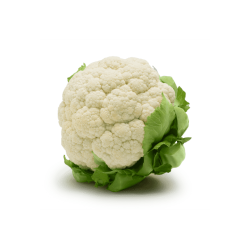 Cauliflower Pack of 10