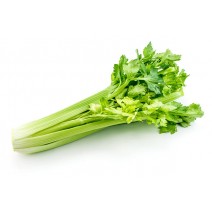 Celery Seedling (10 Sapling)