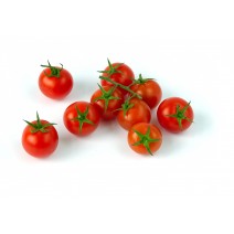 Cherry Tomato Seedling (10 Sapling )