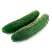 Cucumber Seedling (10 Sapling )