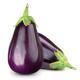 Eggplant Seedling (10 Sapling )