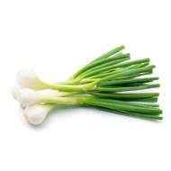 Onions Seedling (10 Sapling )