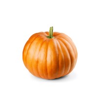 Pumpkin Seedling (10 Sapling )