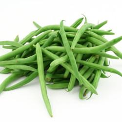 Beans Seedling (10 Sapling)