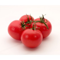 Tomato Seedling (10 Sapling )