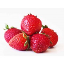 Strawberries Seedling (10 Sapling )
