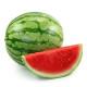 Watermelon Seedling (10 Sapling )