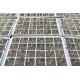 Chives Seedling (10 Sapling )