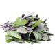 Sage Seedling (10 Sapling )