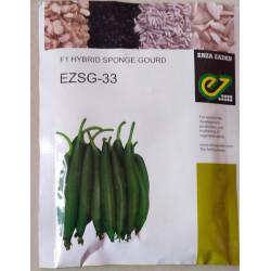 Sponge Gourd SG 33 - Enza Zaden