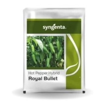 Hot Pepper Hybrid Royal Bullet - Syngenta 10gm