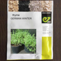 Thyme German winter-herb - Enza Zaden (1000seeds) 