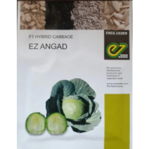 Enza-F1 Hybrid Cabbage ANGAD (1000seeds)