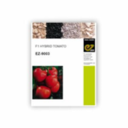 Enza F1 Hybrid Tomato EZ 9003(1000seeds)