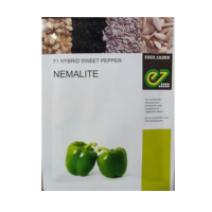 Enza F1 Hybrid Sweet Pepper nemalite-green -(1000seeds)
