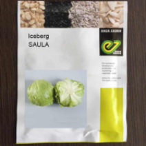 Enza lettuce saula- ice burg-(1000seeds)