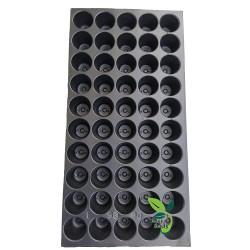 50 CELL Grow Tray