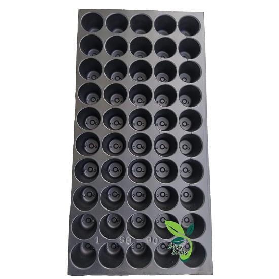 50 CELL Grow Tray