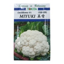 Tokita - Cauliflower F1 MIYUKI 10gm