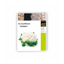 Enza Zaden - Hy Cauliflower FAIRWAY 1000 seeds