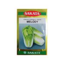 SAKATA - Chinese Cabbage Hybrid MELODY 10gm