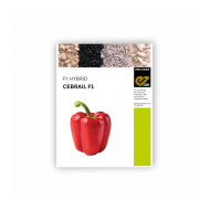 Enza Zaden - Bell Pepper  CEBRAIL F1 (RED) 1000seeds