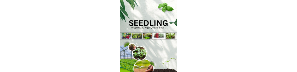 Seedlings