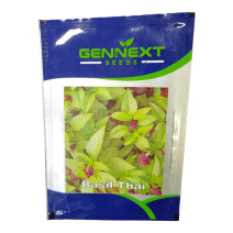 Basil Thai seeds - Gennext 10gm 