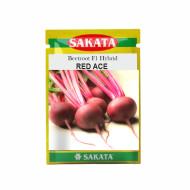 Beetroot Hybrid RED ACE F1 - SAKATA