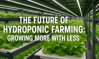 The Future of Hydroponic Farming: Growing More with Less