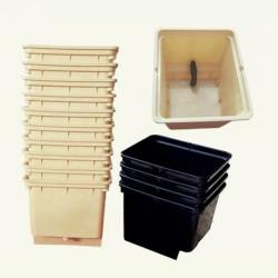 Dutch Bucket Set of 50 PP