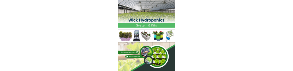 Wick Hydroponics System & Kits