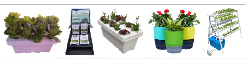 Hydroponics  Garden