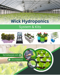Wick Hydroponics System & Kits